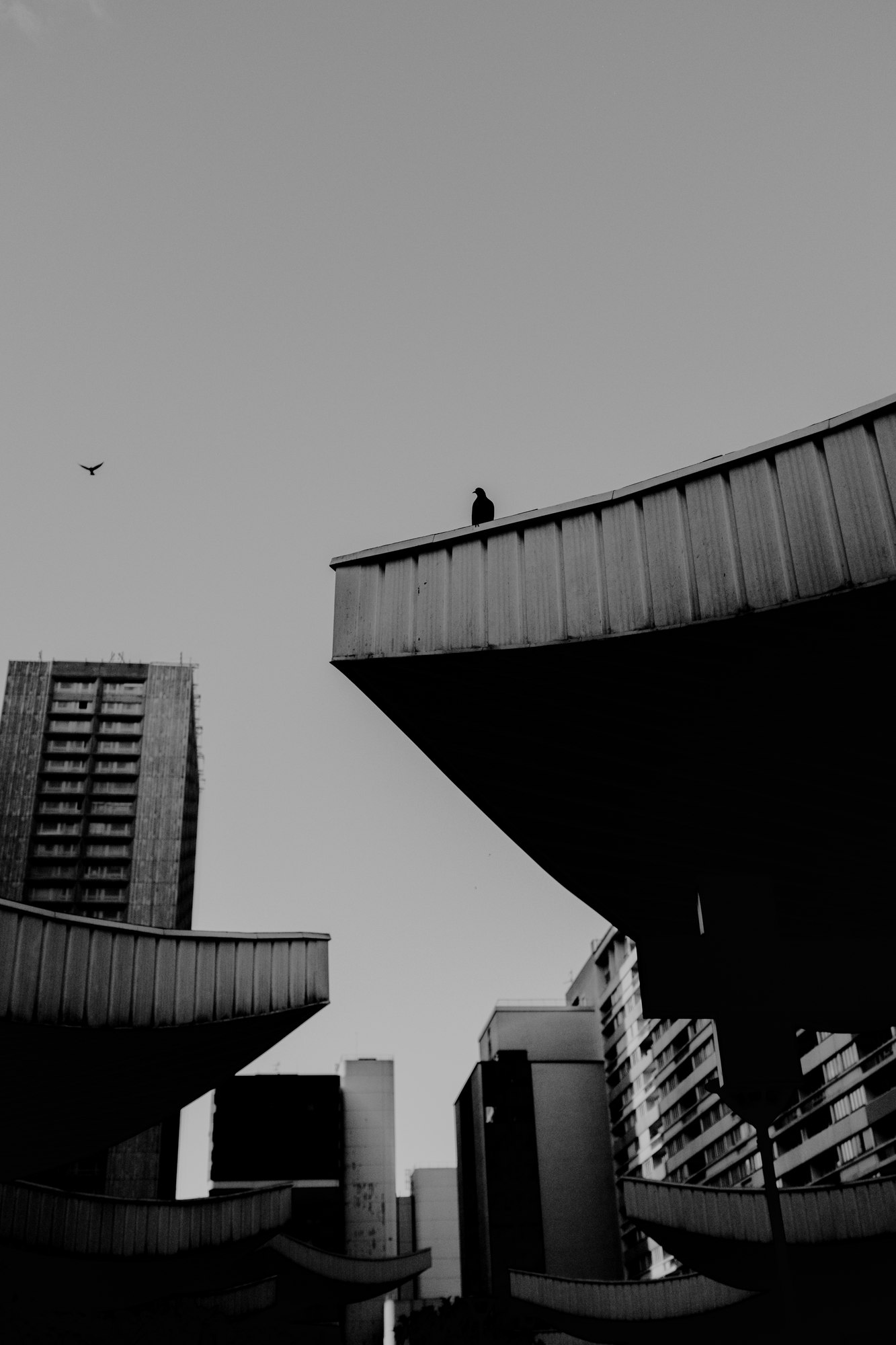 Architecture urbaine en contre-plong&eacute;e, noir et blanc