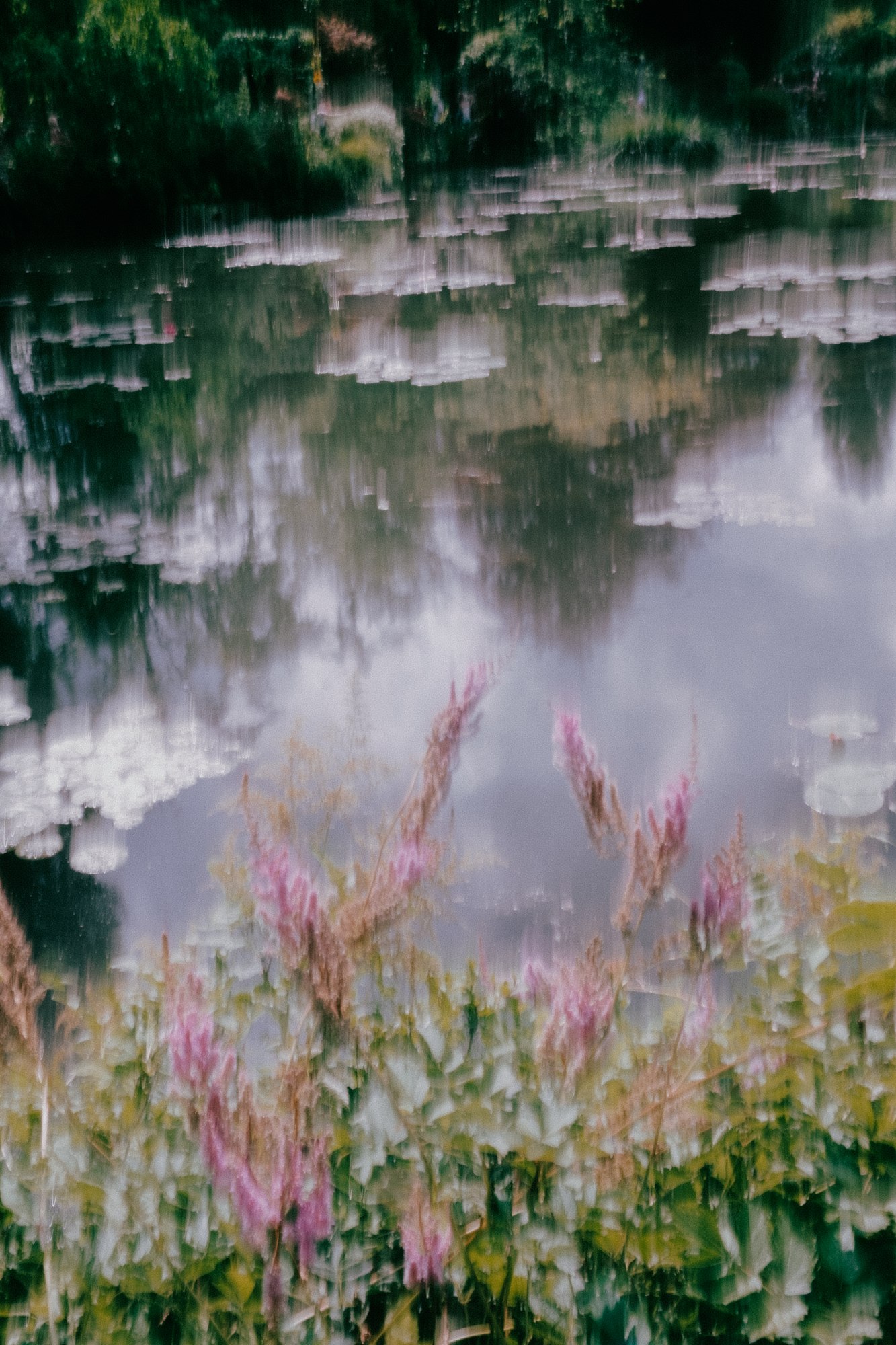 Reflet color&eacute; de fleurs dans l'eau, double exposition