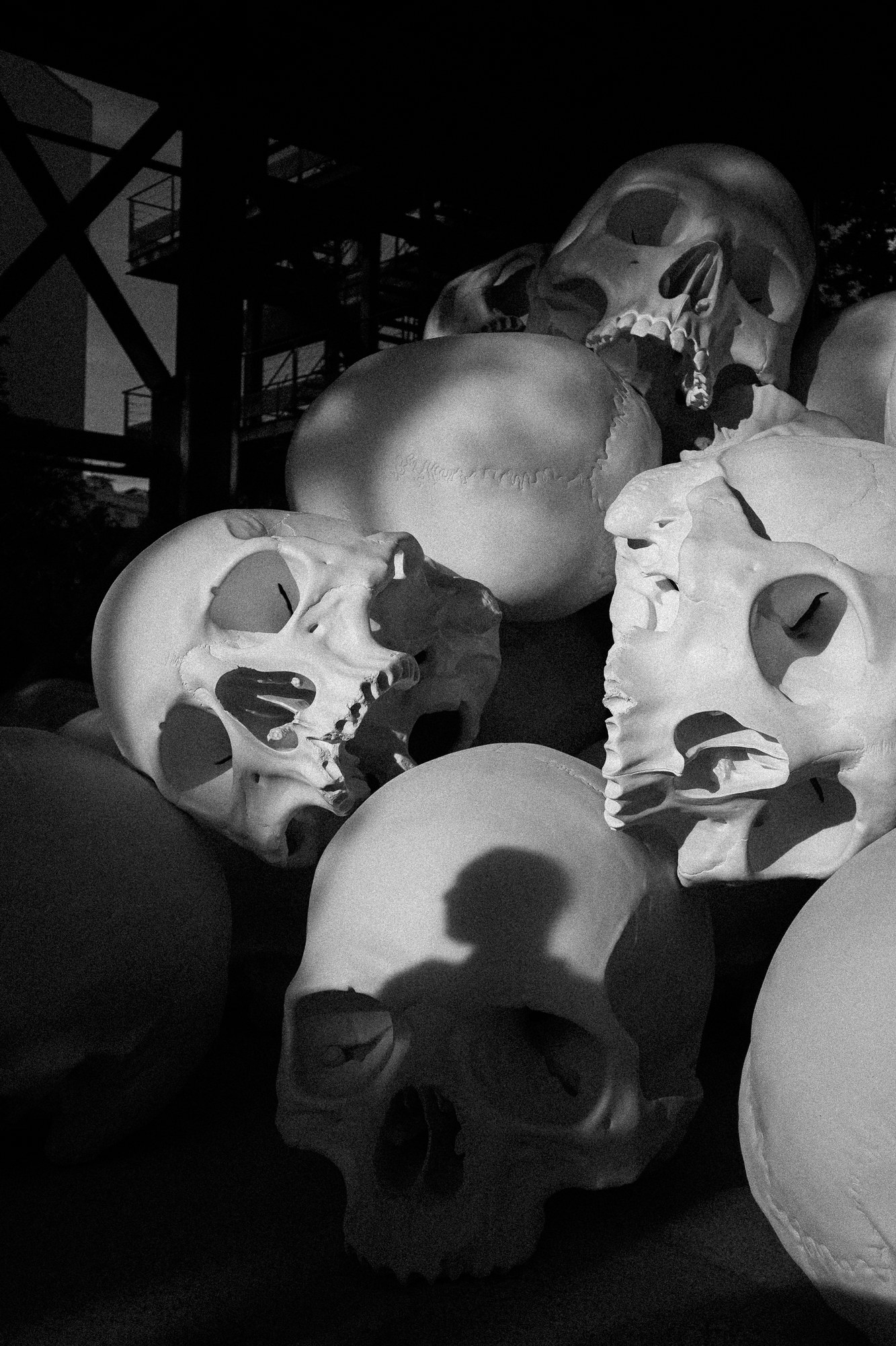 Sculptures de cr&acirc;nes g&eacute;antes, site industriel, noir et blanc