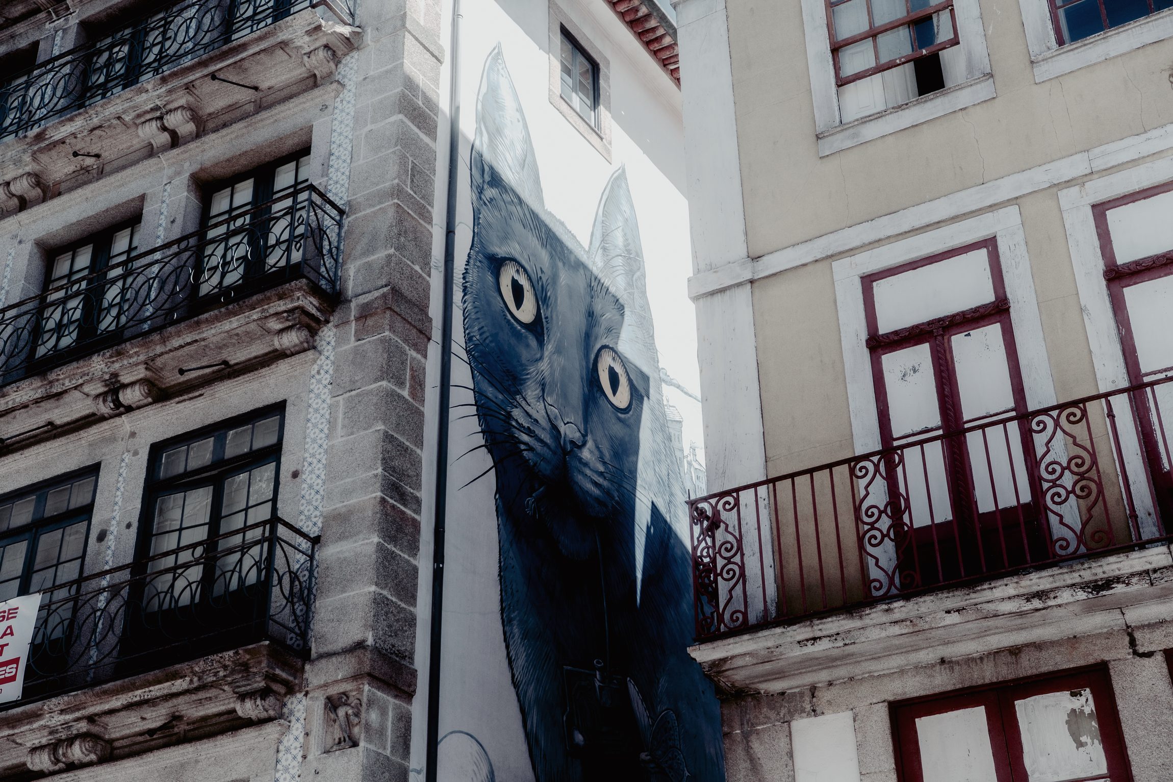 Peinture murale d'un chat noir entre deux immeubles