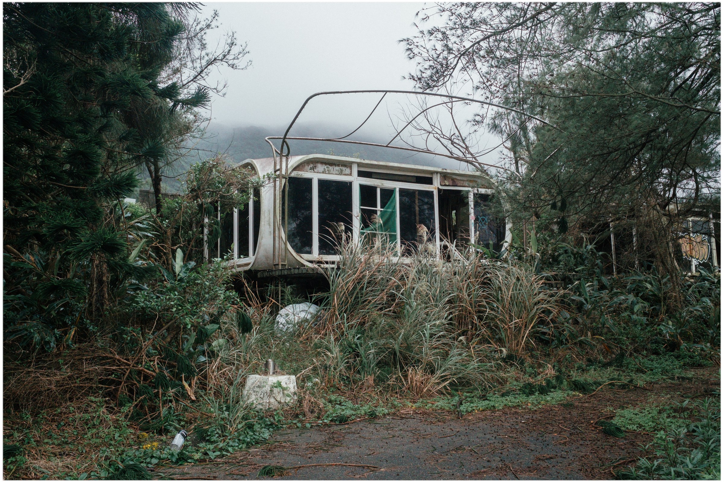 Structure abandonn&eacute;e envahie par la v&eacute;g&eacute;tation