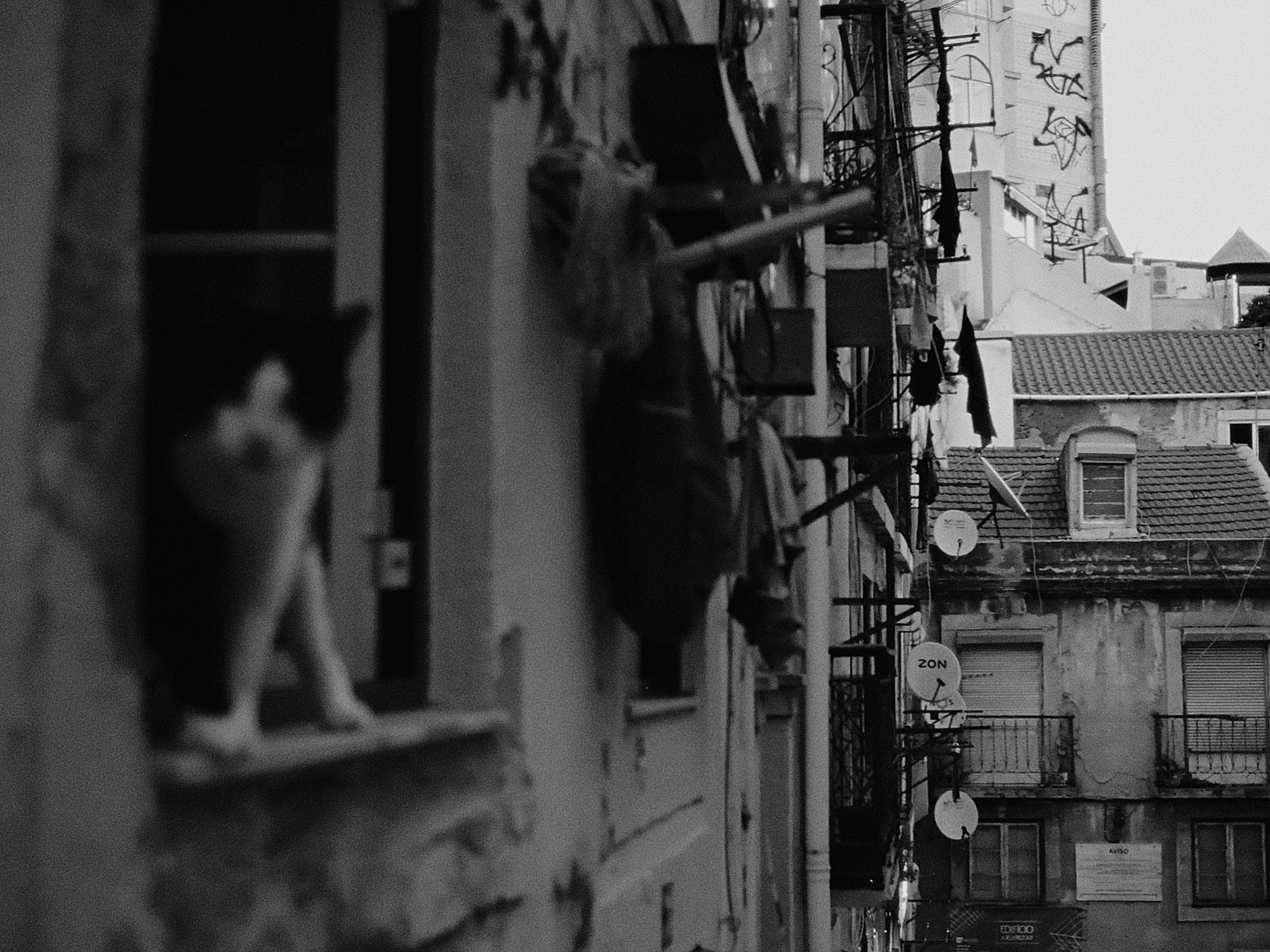 Chat sur un rebord de fen&ecirc;tre &agrave; Lisbonne